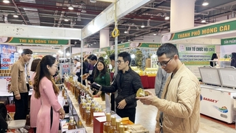 Đòn bẩy để doanh nghiệp Việt chinh phục thị trường quốc tế