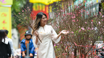 ផ្សារផ្កា Quang An ដ៏អ៊ូអរនៅថ្ងៃចុងក្រោយនៃឆ្នាំ