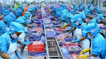 Điểm tên 5 khó khăn mà doanh nghiệp xuất khẩu thủy sản đang đối mặt