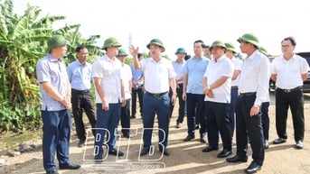Các phong trào thi đua tạo động lực mạnh mẽ đưa Thái Bình bứt phá vươn lên