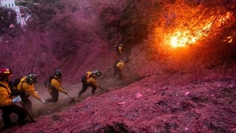 Lợi dụng cháy rừng ở California để đóng giả lính cứu hỏa hòng trộm cắp