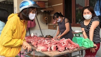 តម្លៃ​ជ្រូក​ឡើង​ថ្លៃ​តាម​ការ​រំពឹង​ទុក សាច់​នាំ​ចូល​ត្រឹម​៥៦.០០០​ដុង​ក្នុង​១​គីឡូក្រាម