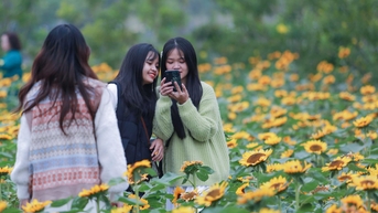 Điểm vui chơi cuối tuần thú vị cho người dân Thủ đô
