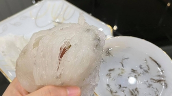 버드네스트, 중국 입국 '비자' 취득…산골마을 재벌 기소