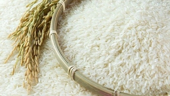 Lộ tin Ấn Độ xem xét hạn chế các hoạt động xuất khẩu gạo