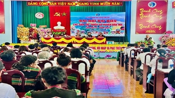 ប្រសិទ្ធភាពនៃការអនុវត្តកម្មវិធីគោលដៅជាតិ ១៧១៩ នៅ Dak Mil (Dak Nong)