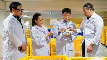 Sẽ tiếp tục xuất khẩu vaccine phòng bệnh dịch tả lợn châu Phi sang Philippines