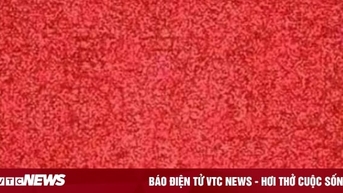 Chỉ người có đôi mắt 'cú vọ' mới tìm được chữ số ẩn trong bức ảnh