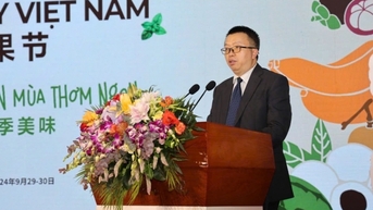Lễ hội trái cây Việt Nam