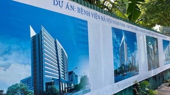 Chủ đầu tư 11.000 m2 đất vàng trồng rau thua lỗ triền miên suốt nhiều năm