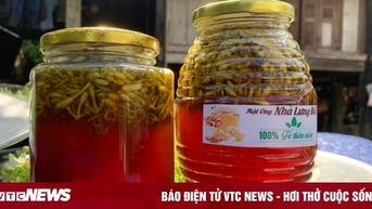Uống mật ong ngâm hoa đu đủ đực mỗi sáng, cơ thể sẽ thay đổi thế nào?