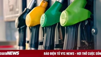 Giá xăng dầu hôm nay 12/12: Quay đầu suy giảm