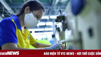 Chưa được hoàn thuế, vì sao doanh nghiệp 'than' mất cả gốc và lãi?