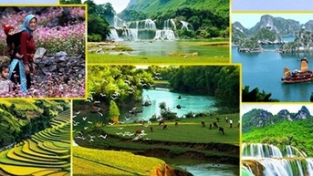 Thay thành viên tham gia Ban Chỉ đạo Nhà nước về Du lịch