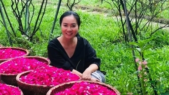 Trang trại 20 nghìn gốc hoa hồng cổ