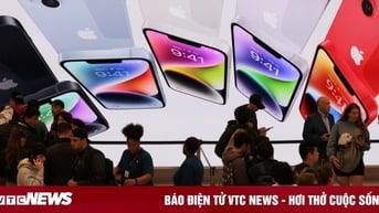 Vì sao 2024 được xem là năm đen tối của Apple?