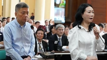 Yêu cầu xác minh quan hệ của vợ chồng bà Trương Mỹ Lan với 11 tổ chức nước ngoài