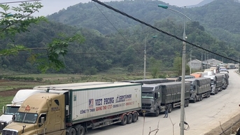 Thủ tướng chỉ đạo cấp bách giảm ùn ứ nông sản ở biên giới phía bắc
