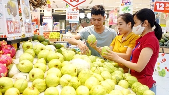 ដំណើរដ៏លំបាករបស់កសិករដើម្បីនាំយកផលិតផល OCOP ទៅកាន់ផ្សារទំនើប
