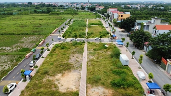 Người trúng đấu giá bỏ cọc tràn lan sau khi đẩy giá đất vùng ven Hà Nội lên trên 100 triệu/m²