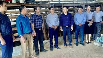 Nông dân xã Phú Nhuận ở Thanh Hóa nuôi con đặc sản, động vật hoang dã, bán đắt tiền