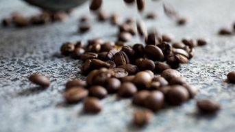 តម្លៃកាហ្វេ Robusta បន្តកើនឡើង ការផ្លាស់ប្តូរទំនិញត្រូវបានបោះបង់ចោល; កាហ្វេវៀតណាមនឹងនៅតែរក្សាតំណែងកំពូលសម្រាប់រយៈពេល 10 ឆ្នាំទៀត។