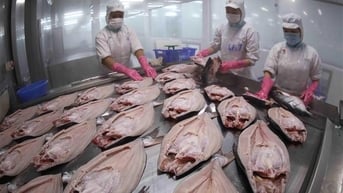 Thoả thuận Xanh EU: Thách thức mới cho các doanh nghiệp xuất khẩu của Việt Nam
