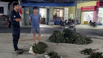 Độc đáo phiên chợ cau, chỉ họp một tiếng trong đêm