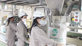 Thuế xuất khẩu phân bón DAP, NPK sẽ về 0%