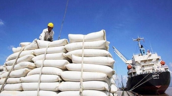 Sớm đẩy nhanh đàm phán để mở rộng danh mục chủng loại gạo xuất khẩu vào EU