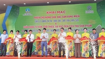 Quảng bá na Chi Lăng, nông đặc sản tỉnh Lạng Sơn năm 2024 tại Hà Nội