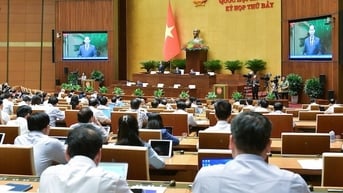 Thông cáo báo chí số 5, Kỳ họp thứ 7, Quốc hội khóa XV