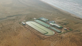 Bể nước biển 12.000 m2 nuôi tảo giữa sa mạc Sahara