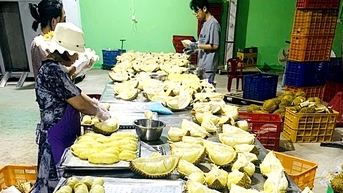Xuất khẩu băng băng về đích