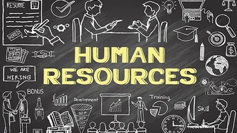 Học Quản trị nhân lực thường làm trưởng nhóm?