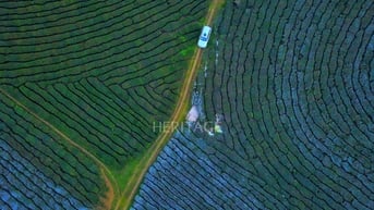 Những cung đường đẹp như tranh trên dải đất hình chữ S