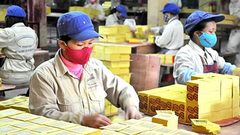 Công ty bán vàng mã duy nhất trên sàn thu về thấp nhất 10 năm
