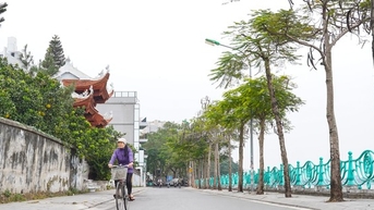 Phố phường Hà Nội vắng vẻ trong ngày cuối tuần rét đậm