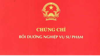 Tiến sĩ giả từng cung cấp bằng thạc sĩ công chứng, chứng chỉ nghiệp vụ sư phạm