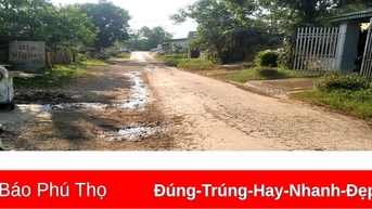 Cải tạo nâng cấp đường tỉnh 314