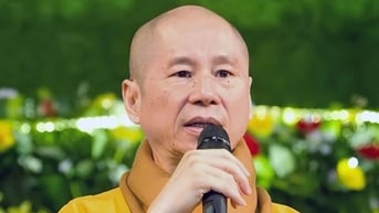 Trường đại học Hà Nội và Đại học Luật Hà Nội đang thu hồi các văn bằng đã cấp cho ông Vương Tấn Việt
