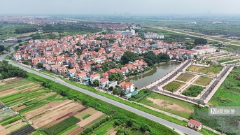 Giá khởi điểm quá thấp tạo cơ hội "trục lợi" trong các phiên đấu giá đất