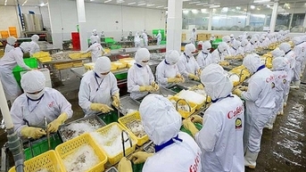 Xuất khẩu thủy sản duy trì thị phần tốt tại Singapore