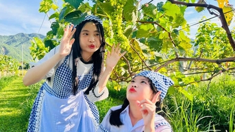 다낭 바로 외곽의 익은 포도원