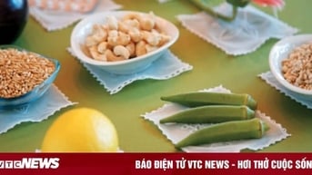 Những loại thực phẩm được ví như 'nam châm' hút cholesterol xấu hiệu quả