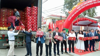 Sau Anh, bưởi Hòa Bình tìm đường xuất khẩu thành công sang Mỹ