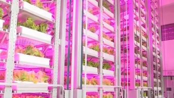 Trang trại thẳng đứng tự động 20 tầng đầu tiên trên thế giới