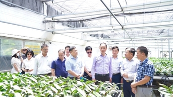 Hà Tĩnh: Hoạt động KH&CN phát triển chưa tương xứng với tiềm năng