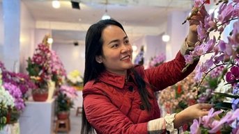 Đếm cành thu tiền, thợ cắm hoa lan hồ điệp bỏ túi 3 triệu đồng/ngày