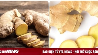 Mỗi sáng ăn một lát gừng tươi có tác dụng gì?